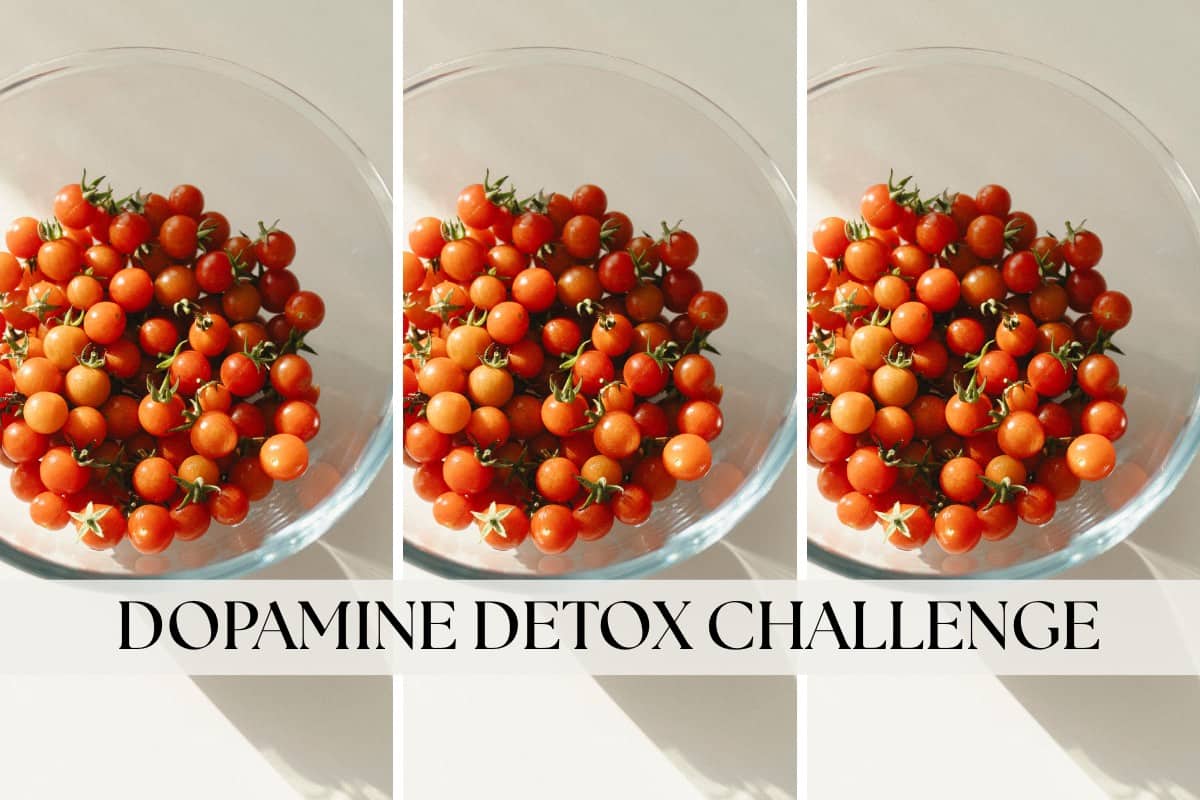 dopamine detox challenge