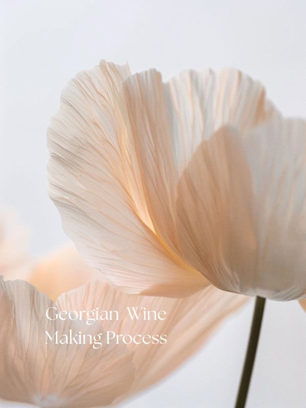 georgian wine making process