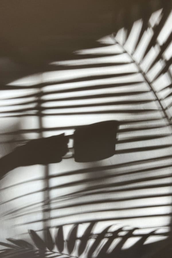 ideal tattoo for women minimalist ideal morning routine for women