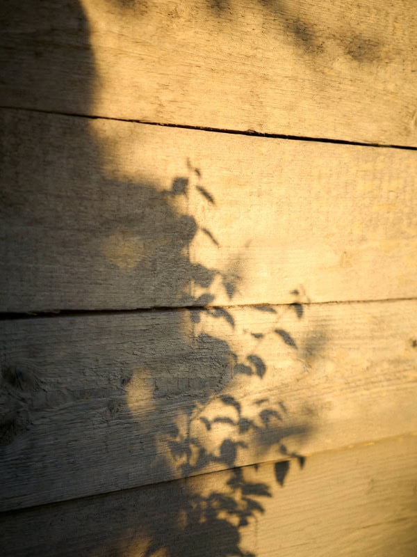 stress regulation for women